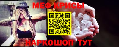 шишки Кингисепп