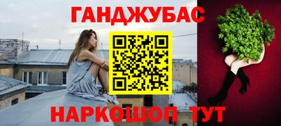 шишки Кингисепп