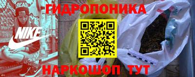 шишки Кингисепп