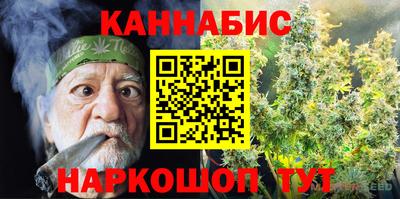 шишки Кингисепп